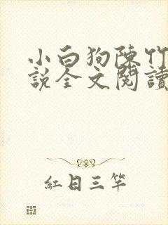 小白狗陈竹岚小说全文阅读免费