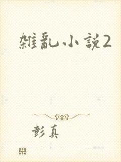 杂乱小说2