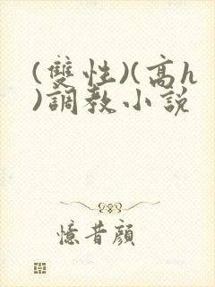 (双性)(高h)调教小说