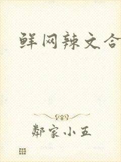 鲜网辣文合集