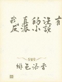 我真的没有想当反派小说