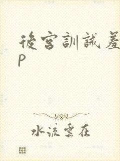后宫训诫羞刑sp
