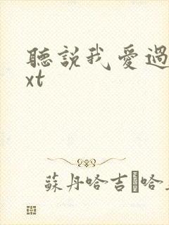 听说我爱过你txt封面