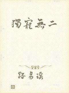独宠无二封面