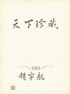 天下珍藏封面