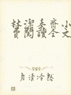 林洁秦齐小说免费阅读全文最新章节封面