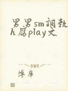 男男sm调教高h腐play文