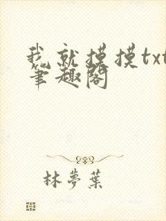 我就摸摸txt笔趣阁封面