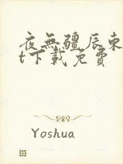 夜无疆辰东txt下载免费