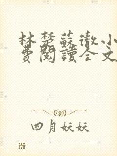 林楚苏彻小说免费阅读全文最新章节封面