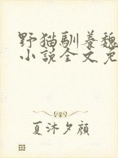 野猫驯养魏承泽小说全文免费阅读无弹窗