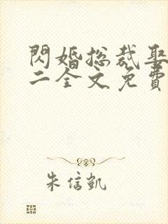 闪婚总裁娶一送二全文免费阅读封面