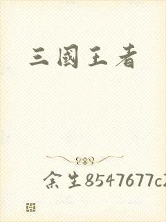 三国王者