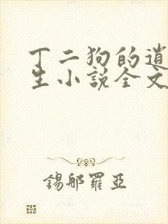 丁二狗的逍遥人生小说全文无删减