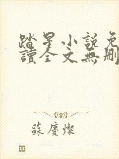 踏星小说免费阅读全文无删减封面