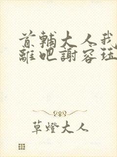首辅大人我们和离吧谢容珏封面