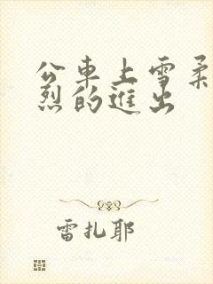 公车上雪柔被猛烈的进出