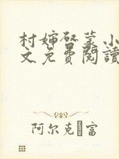 村婶启蒙小说全文免费阅读最新章节封面