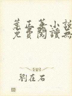叶正华小说全文免费阅读无弹窗封面