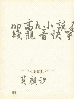 np高h小说在线观看快穿