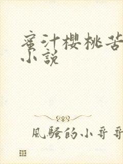 蜜汁樱桃苦咖啡小说