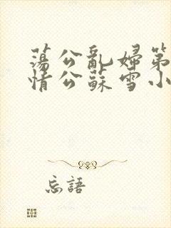 荡公乱妇第1章情公苏雪小说