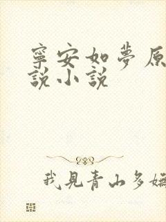 宁安如梦原著小说小说封面