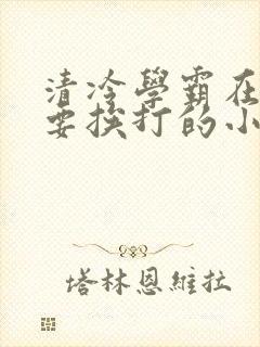 清冷学霸在家还要挨打的小说封面