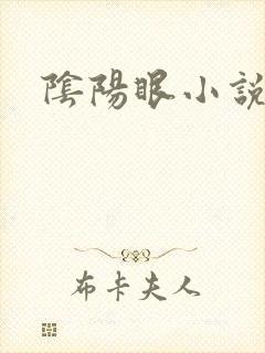 阴阳眼小说