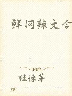 鲜网辣文合集封面