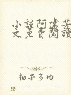 小说阿伟芳姨全文免费阅读