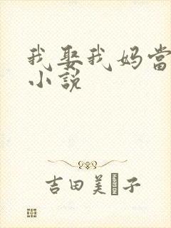 我娶我妈当老婆小说