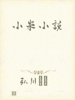 小米小说