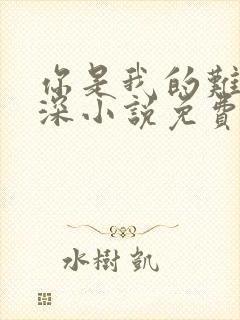 你是我的难得情深小说免费阅读