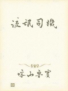 流氓司机封面