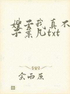 嫂子我真不是傻子叶凡txt