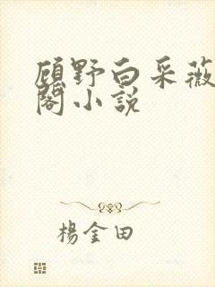 顾野白采薇笔趣阁小说