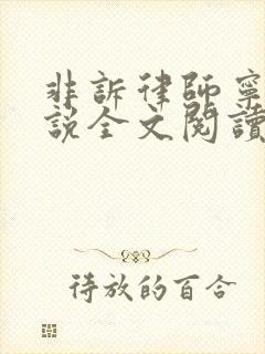 非诉律师宁韵小说全文阅读笔趣阁