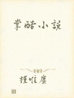 掌酷小说