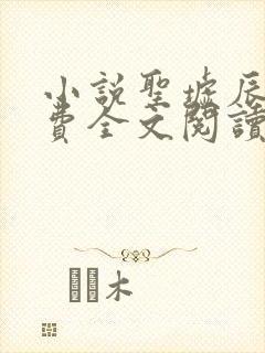小说圣墟辰东免费全文阅读一