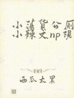小荡货公厕h文小辣文np视频封面
