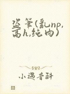 盗笔(乱np,高h,纯肉)
