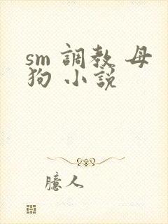 sm 调教 母狗 小说