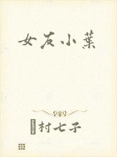 女友小叶封面