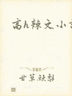 高h辣文小说