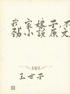 我家娘子,不对劲小说原文封面