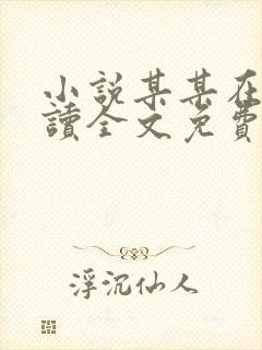 小说某某在线阅读全文免费封面