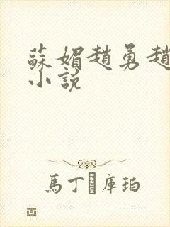 苏媚赵勇赵大宝小说封面