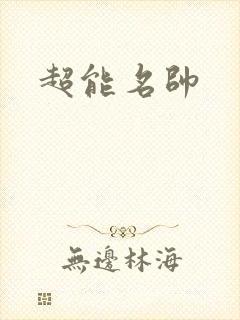 超能名帅封面
