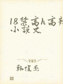 18禁高h高辣小说文